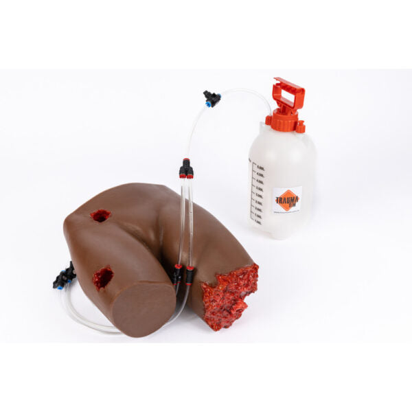 Junctional Haemorrhage Control Trainer – Bleeding Simulation Training Aid
