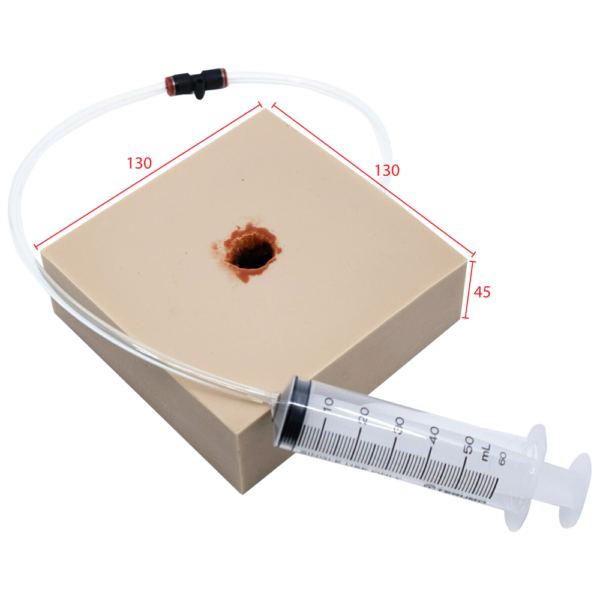 Gunshot Wound Bleeding Control Trainer – First Aid Trauma Training Aid