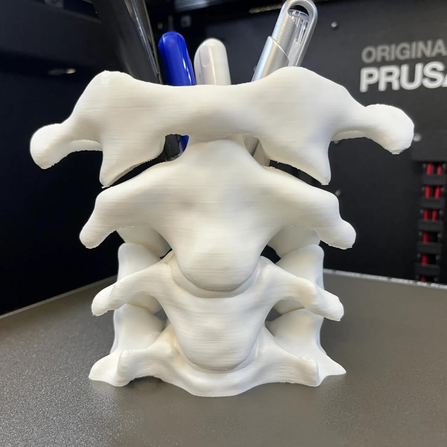 Spine Pen Holder - Unique Desk Organizer Gift for Doctors Nurses & Chiropractors