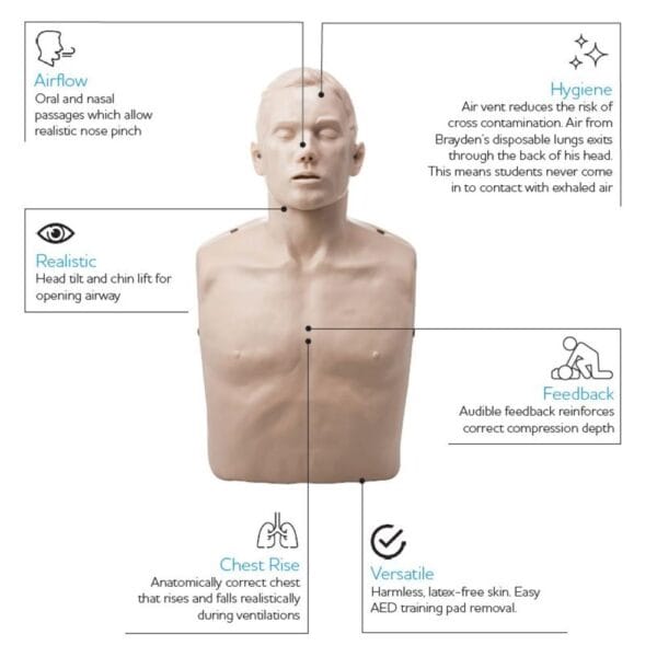 Adult CPR Training Manikin – Basic First Aid Training Model (No Lights) | Brayden