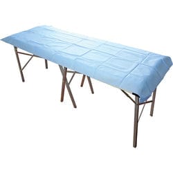 Haines Bed Sheets Haines Disposable Bed Sheets 200cm x 70cm