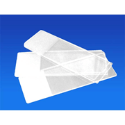 Livingstone Microscope Glass Slides - Frosted Slides (Pack of 50)