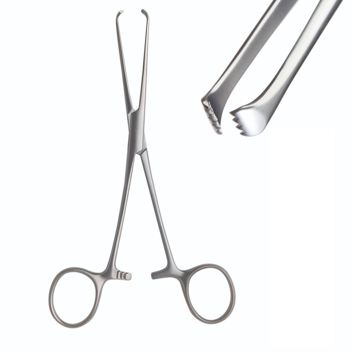 Armo Surgical Instruments 15cm / 4x5 Teeth Armo Allis Forceps