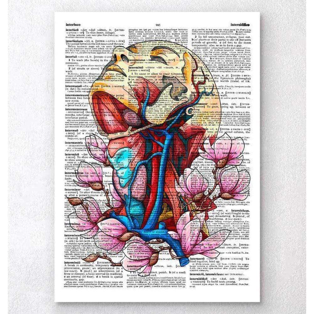 Codex Anatomicus Anatomical Print Head, Neck And Arteries Dictionary Page