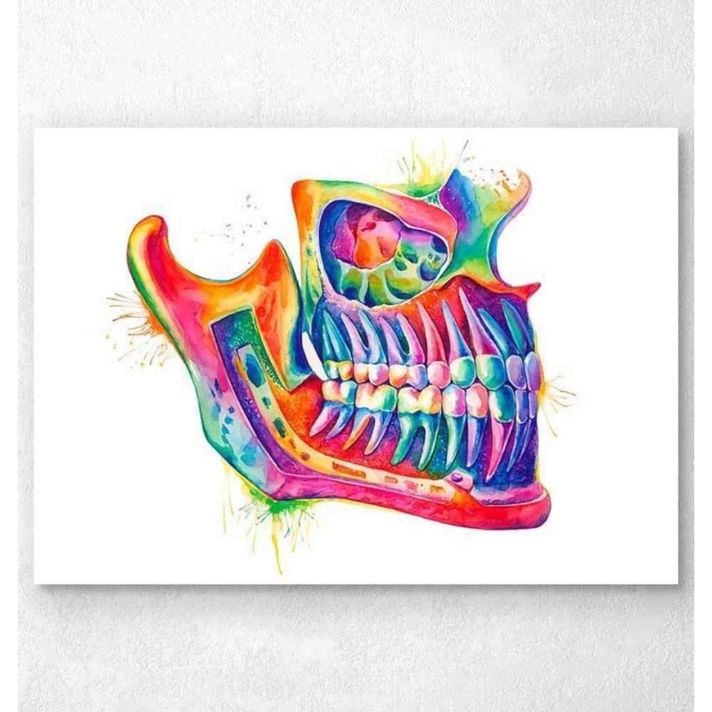 Codex Anatomicus Anatomical Print Jaw Dental Anatomy Art Watercolor Splash