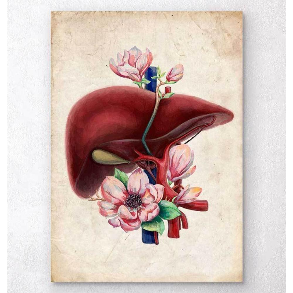 Codex Anatomicus Anatomical Print Liver Anatomy Floral Old Paper