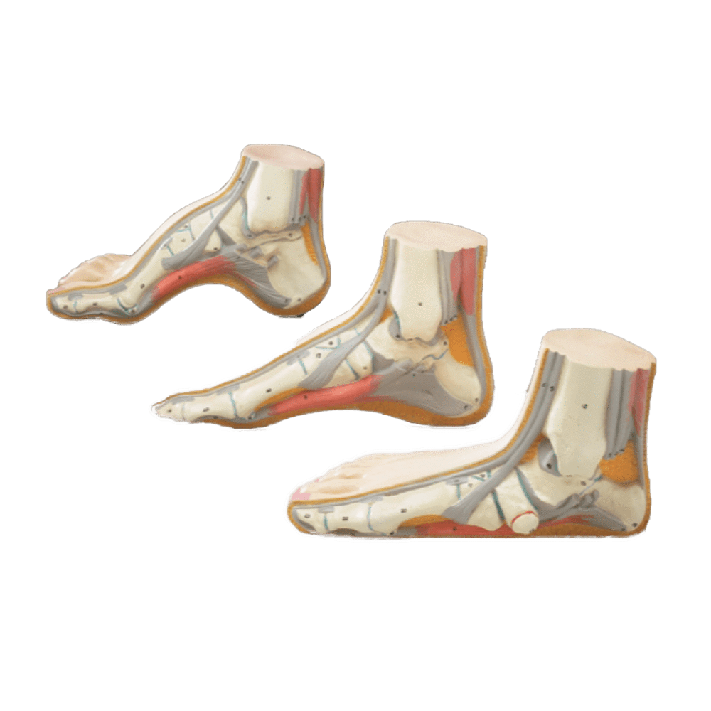 Set of Three Feet