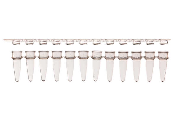 SCIENTIFIC SPECIALTIES STRIP PCR 12 TUBES + FLAT CAPS