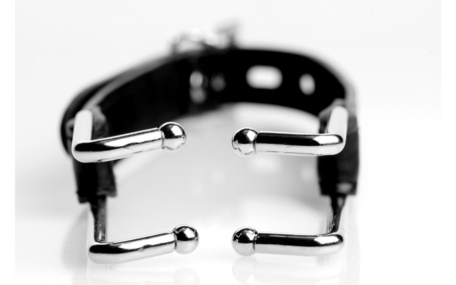 Mouth Spreader Claw Hook Restraint Gag BDSM Accessory