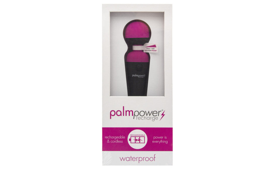 PalmPower Recharge Cordless Rechargeable Waterproof Massage Wand