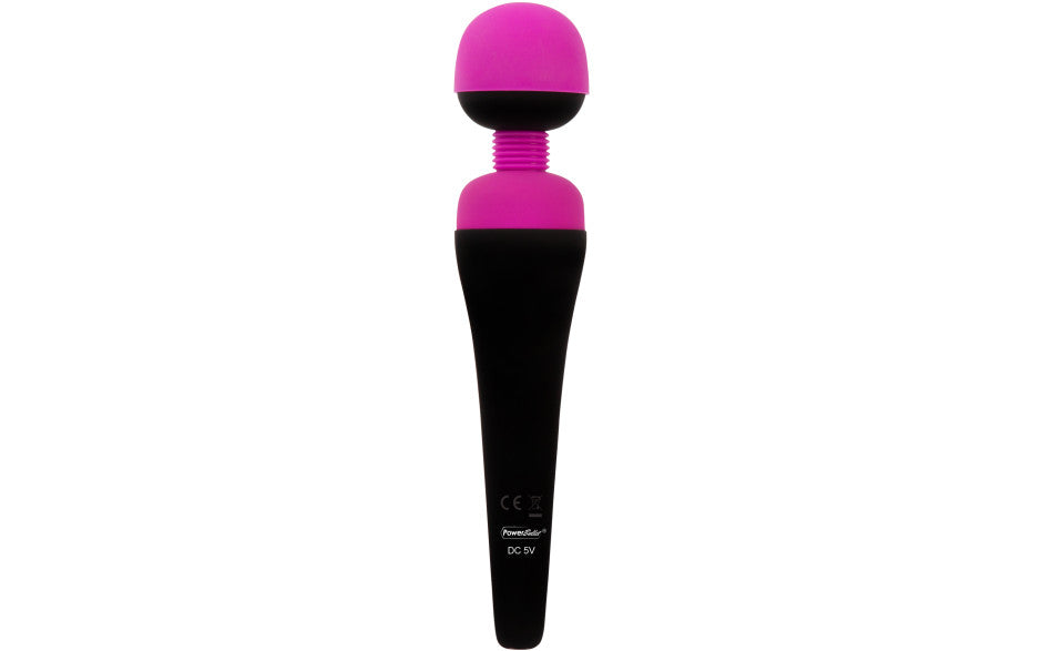 PalmPower Recharge Cordless Rechargeable Waterproof Massage Wand