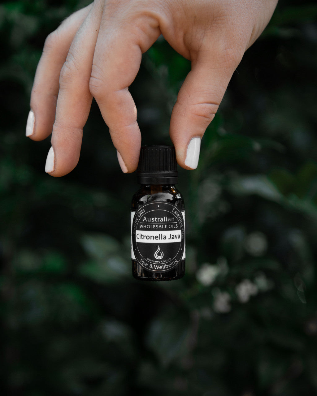 Citronella Essential Oil - Java