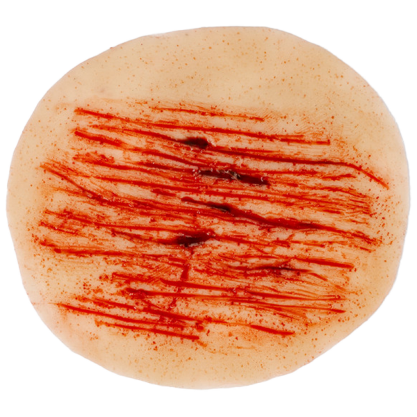 Abrasion Wound Training Model – First Aid Simulation Aid