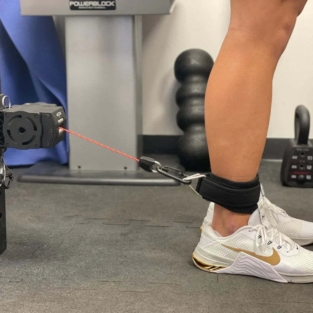 ANCORE Ankle Strap — Trainer Accessory for Lower-Body Workouts