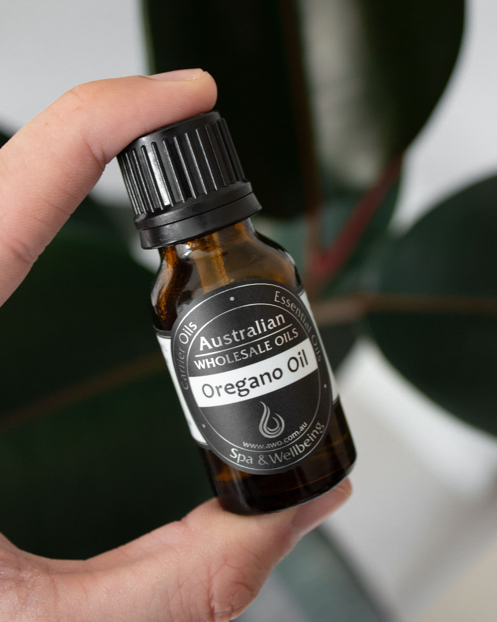 Oregano Essential Oil