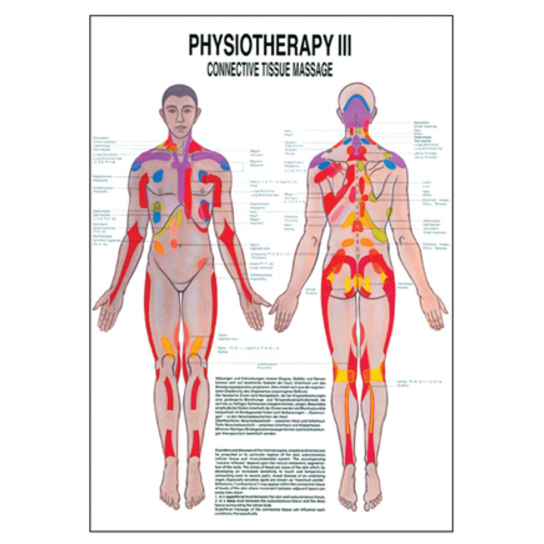 LMTD Connective Tissue Massage Charts — Series for Physiotherapists