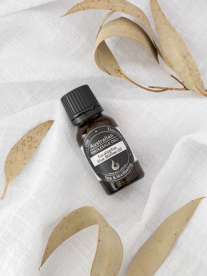 Eucalyptus Blue Mallee Essential Oil