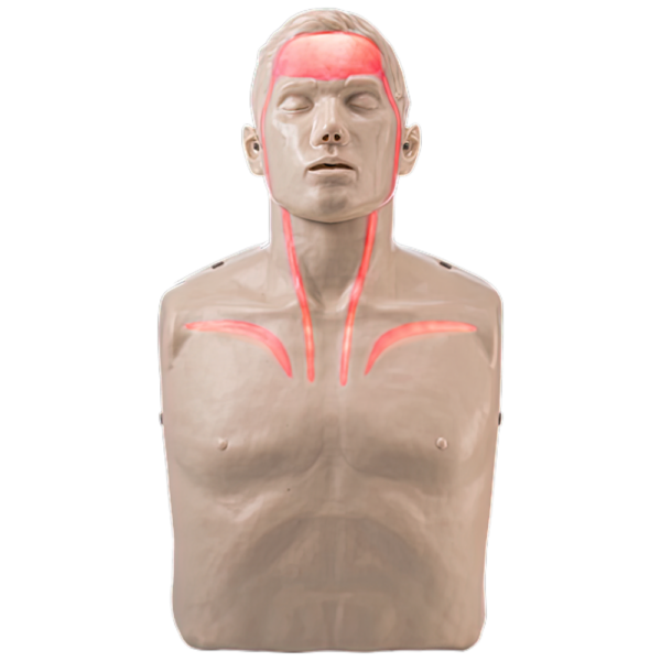 CPR Training Manikin with LED Blood Flow Feedback – First Aid Training Model | Brayden