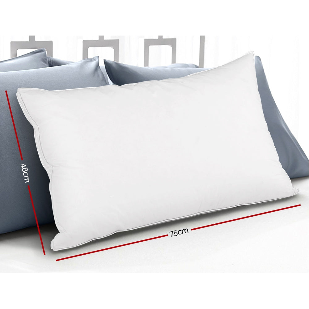 Goose Feather Down Pillow Luxury Twin Pack