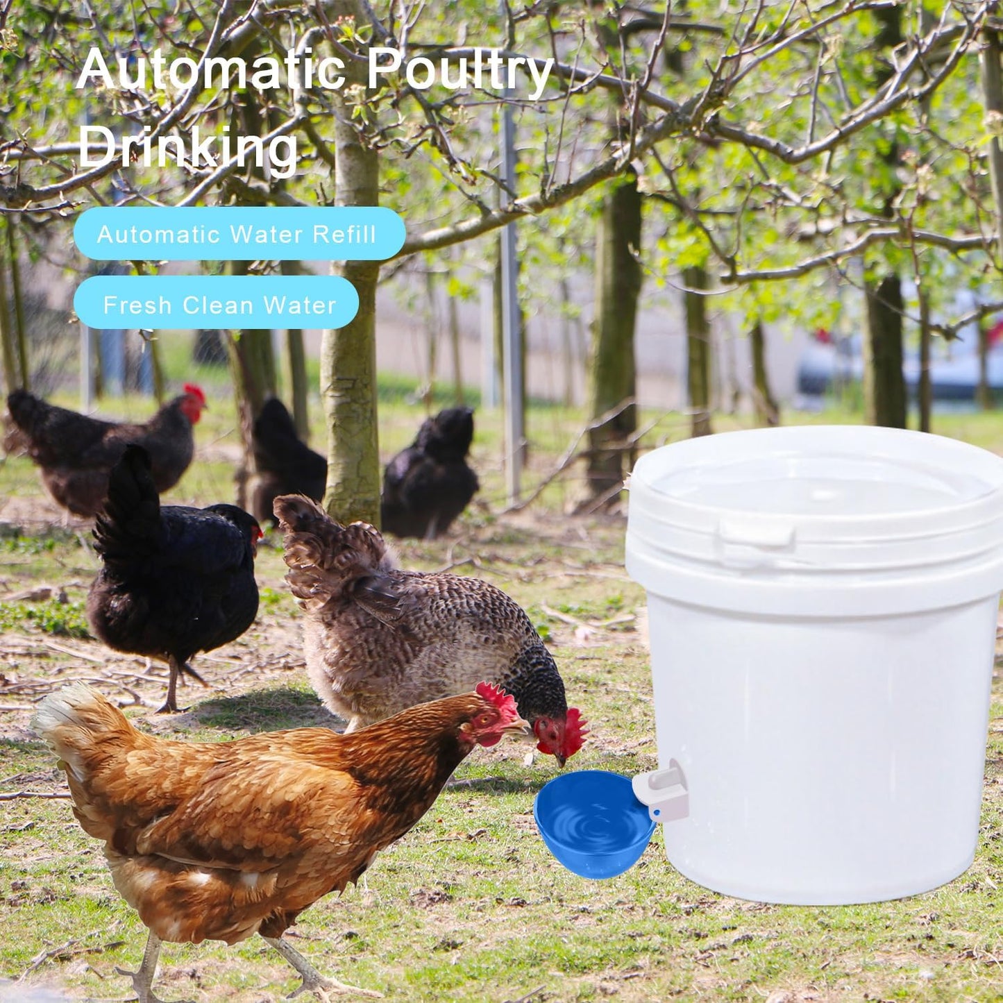 Chicken Waterer Cups 8-Pack Blue - Large Tee Fitting Poultry Drinker with Opener