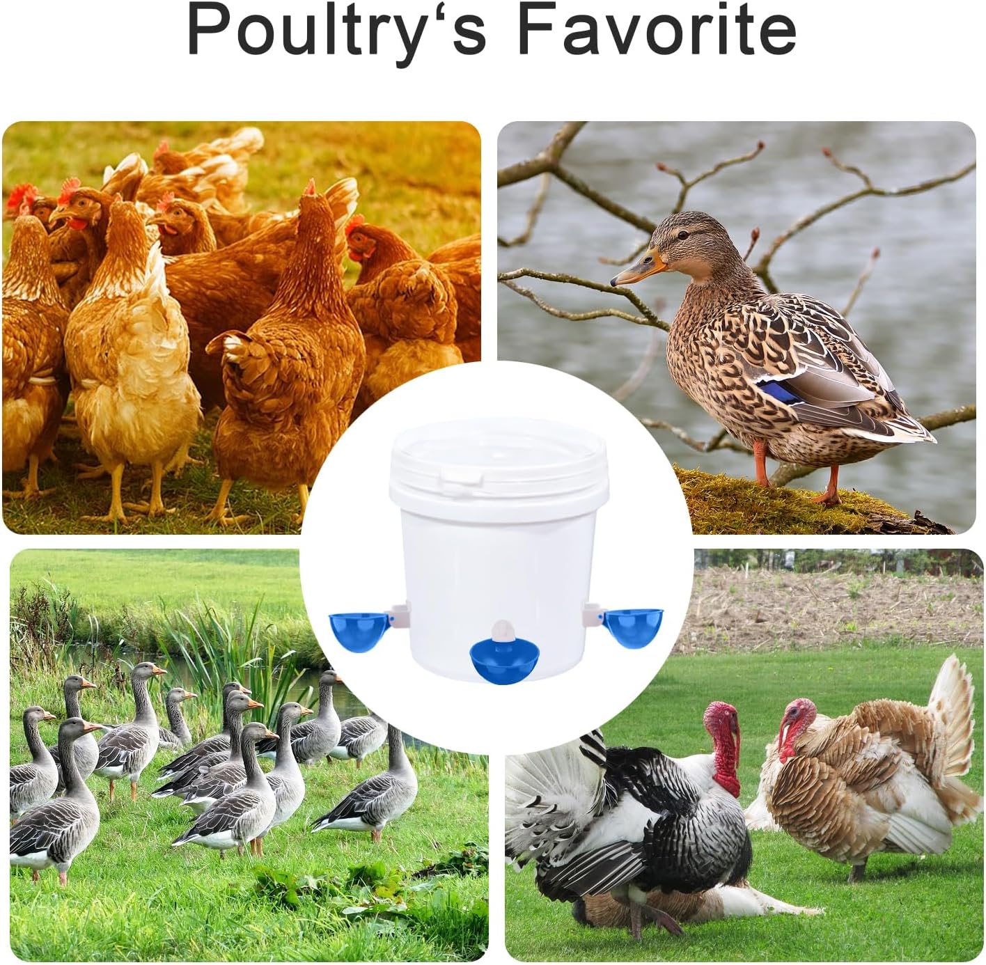 Chicken Waterer Cups 8-Pack Blue - Large Tee Fitting Poultry Drinker with Opener