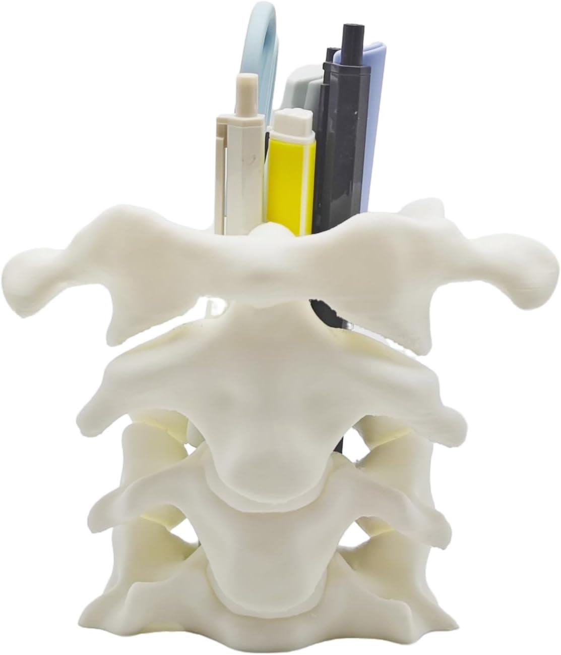 Spine Pen Holder - Unique Desk Organizer Gift for Doctors Nurses & Chiropractors