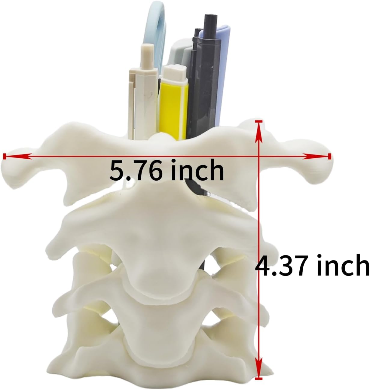Spine Pen Holder - Unique Desk Organizer Gift for Doctors Nurses & Chiropractors