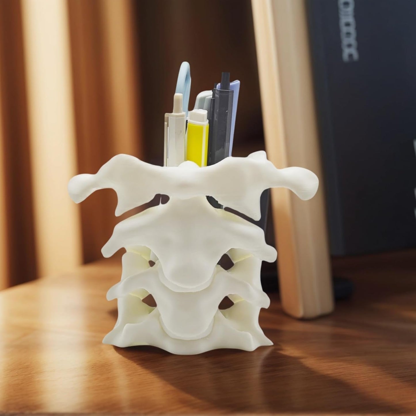 Spine Pen Holder - Unique Desk Organizer Gift for Doctors Nurses & Chiropractors
