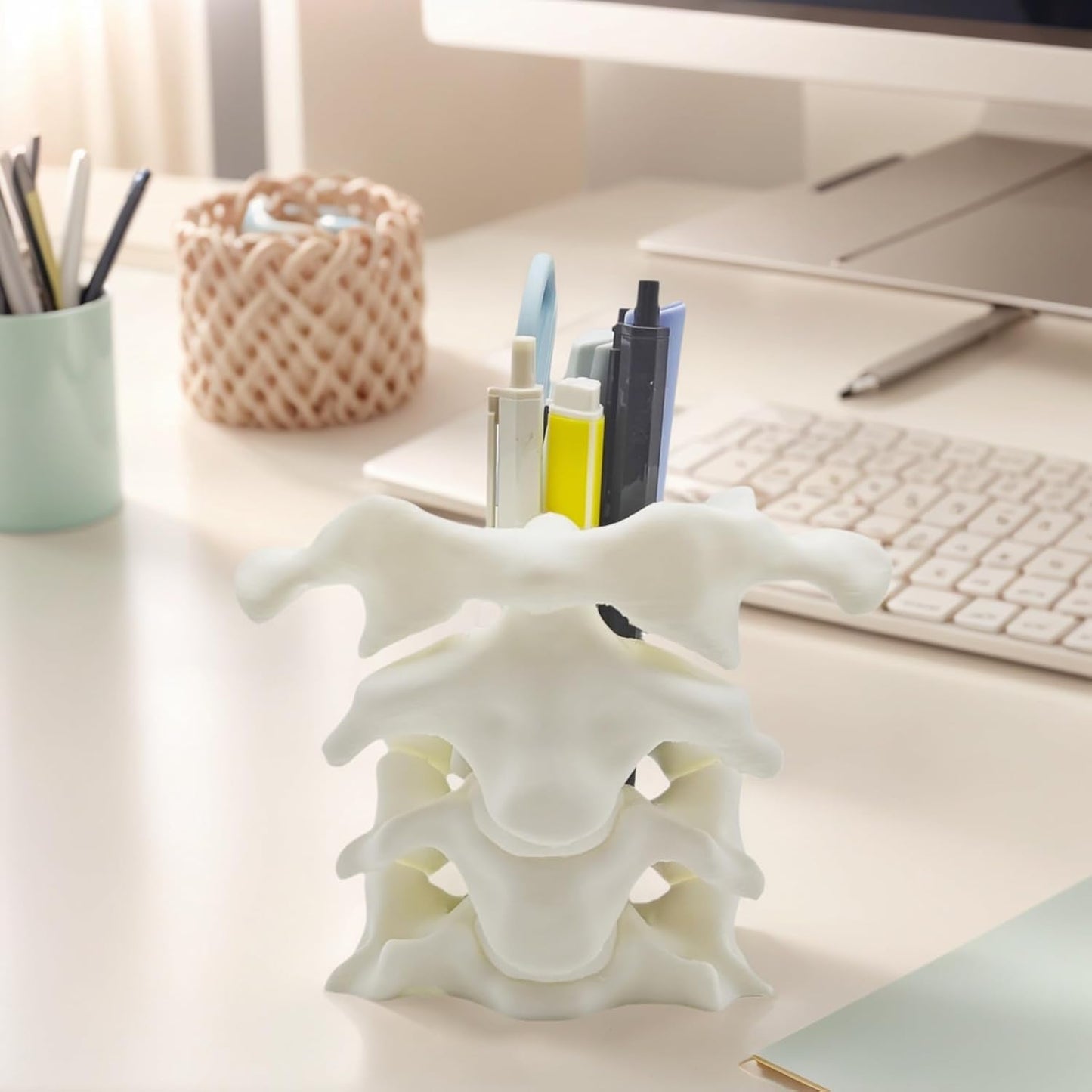 Spine Pen Holder - Unique Desk Organizer Gift for Doctors Nurses & Chiropractors