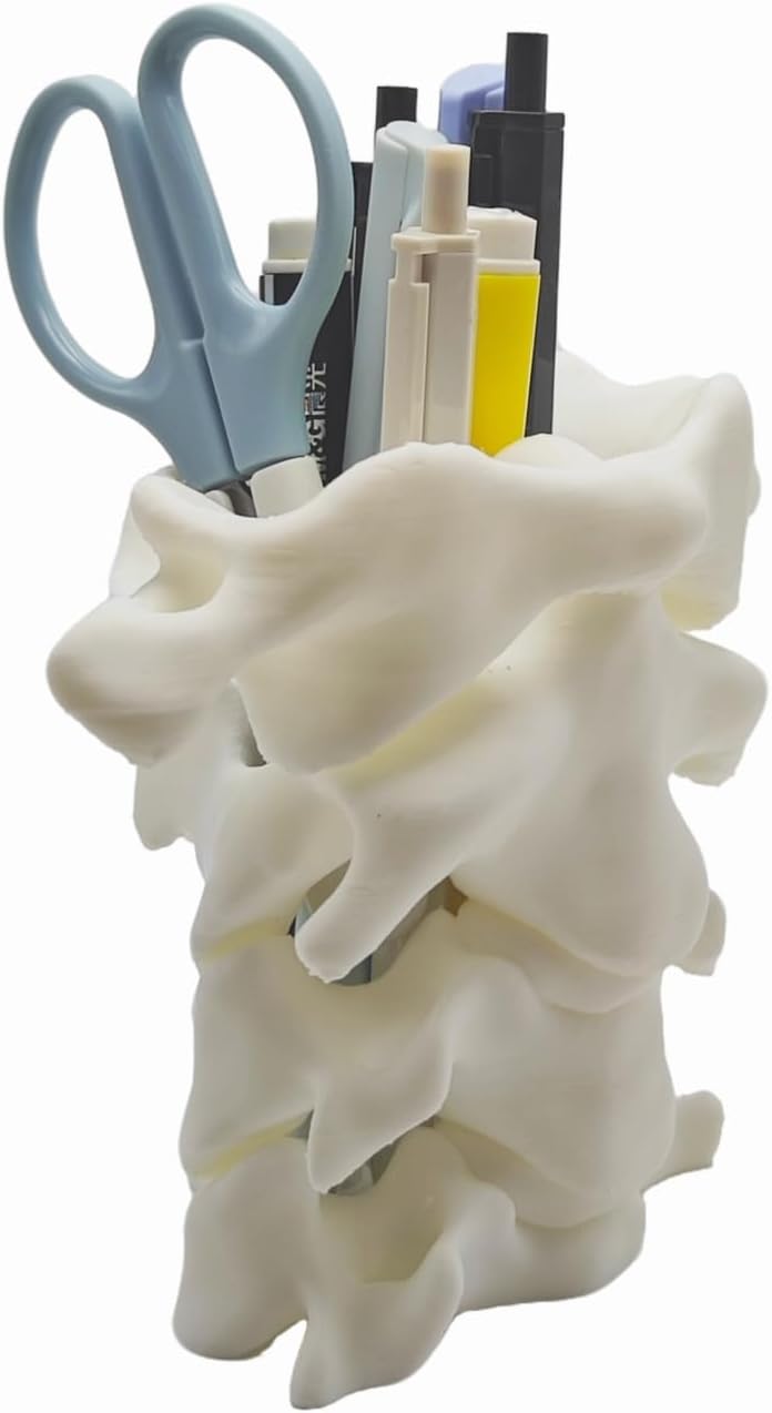 Spine Pen Holder - Unique Desk Organizer Gift for Doctors Nurses & Chiropractors