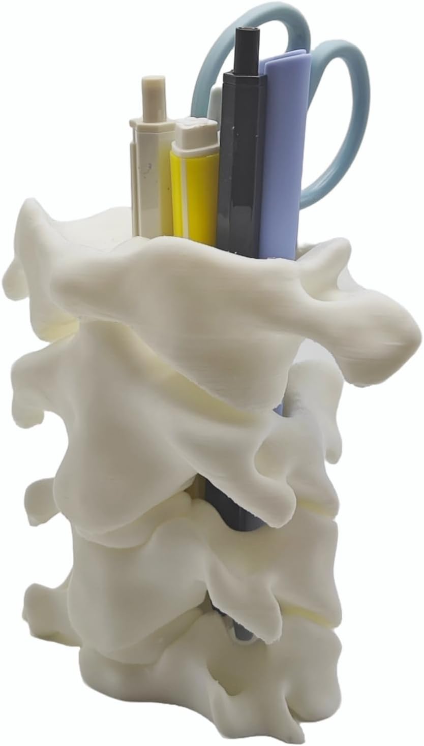 Spine Pen Holder - Unique Desk Organizer Gift for Doctors Nurses & Chiropractors
