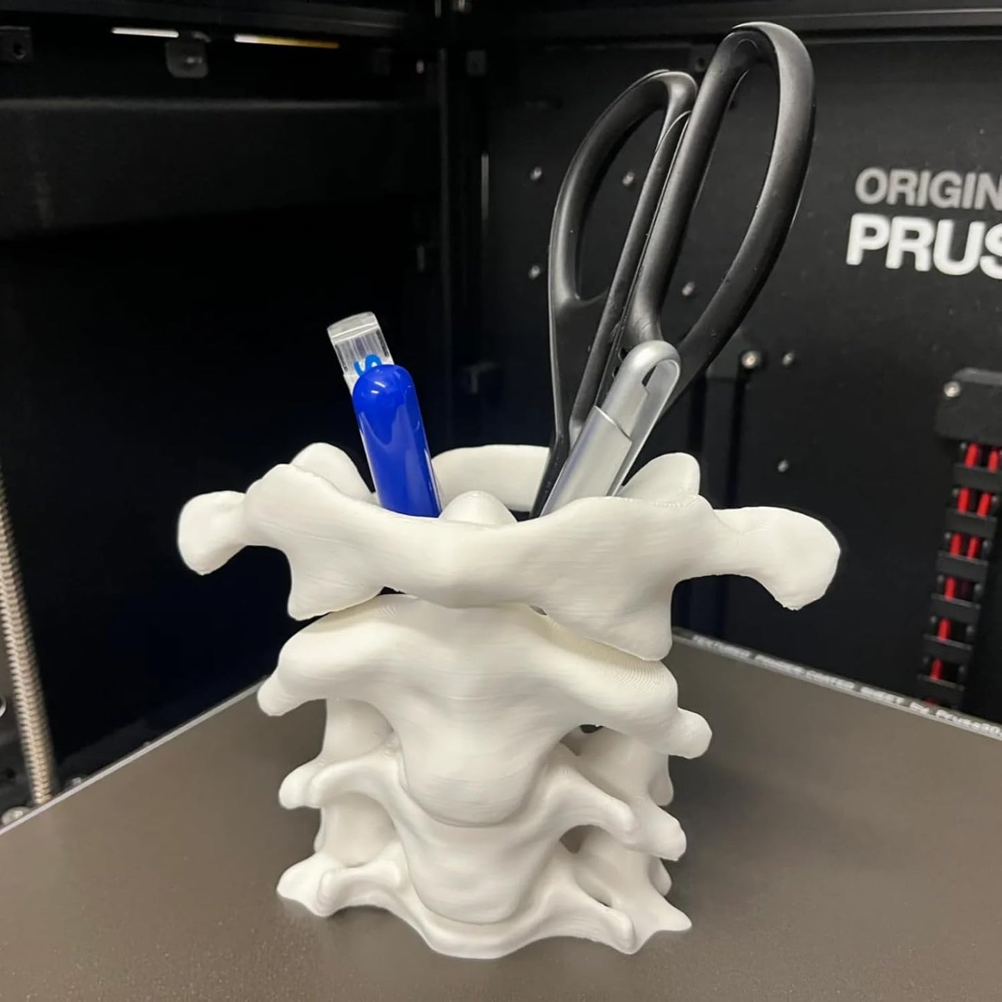 Spine Pen Holder - Unique Desk Organizer Gift for Doctors Nurses & Chiropractors