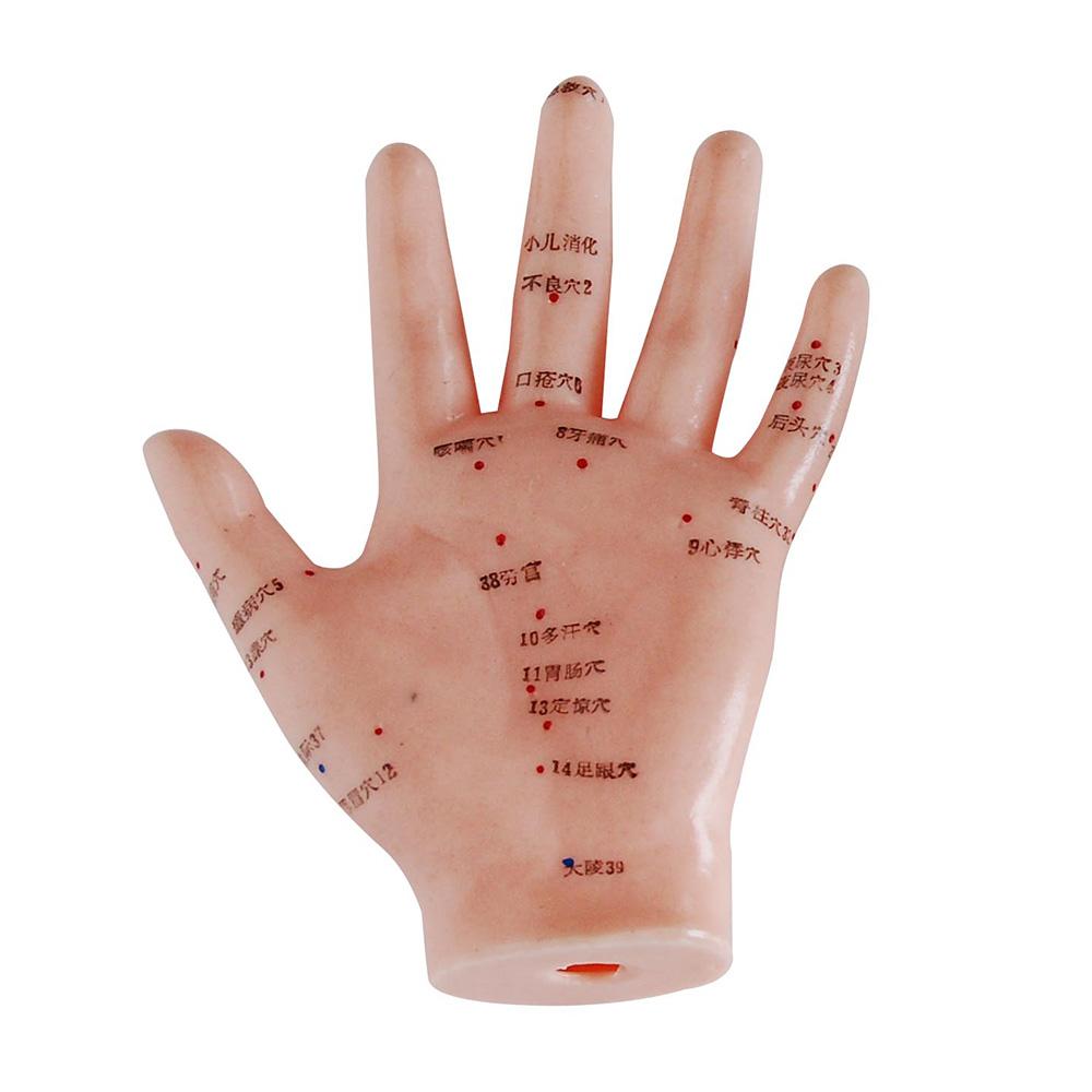 66fit Hand Acupuncture Model — 13 cm (Soft PVC, Bilingual Guide)