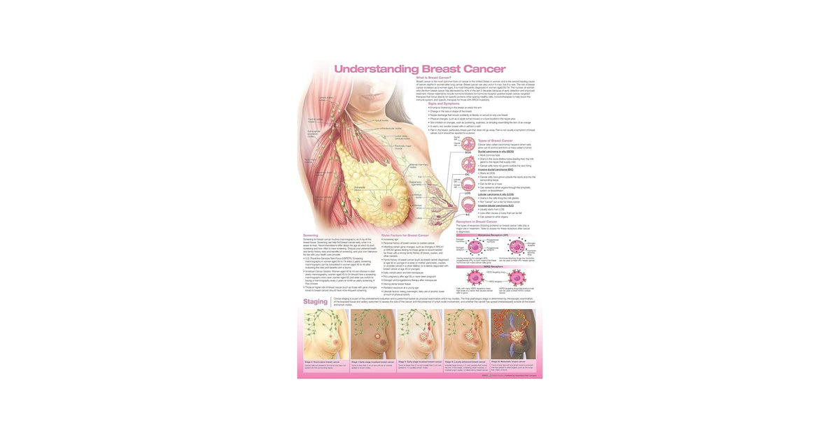 Understanding Breast Cancer 3E Paper 2