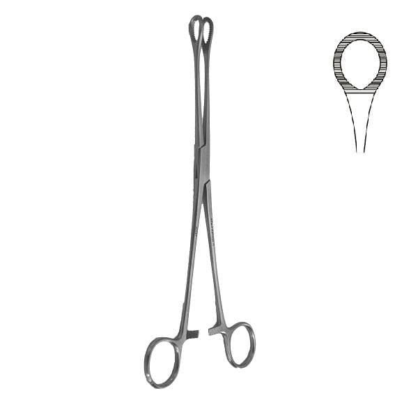 Armo Foerster Forceps