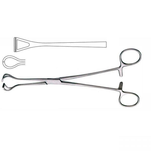 Professional Hospital Furnishings Forceps Babcock Tissue Forcep