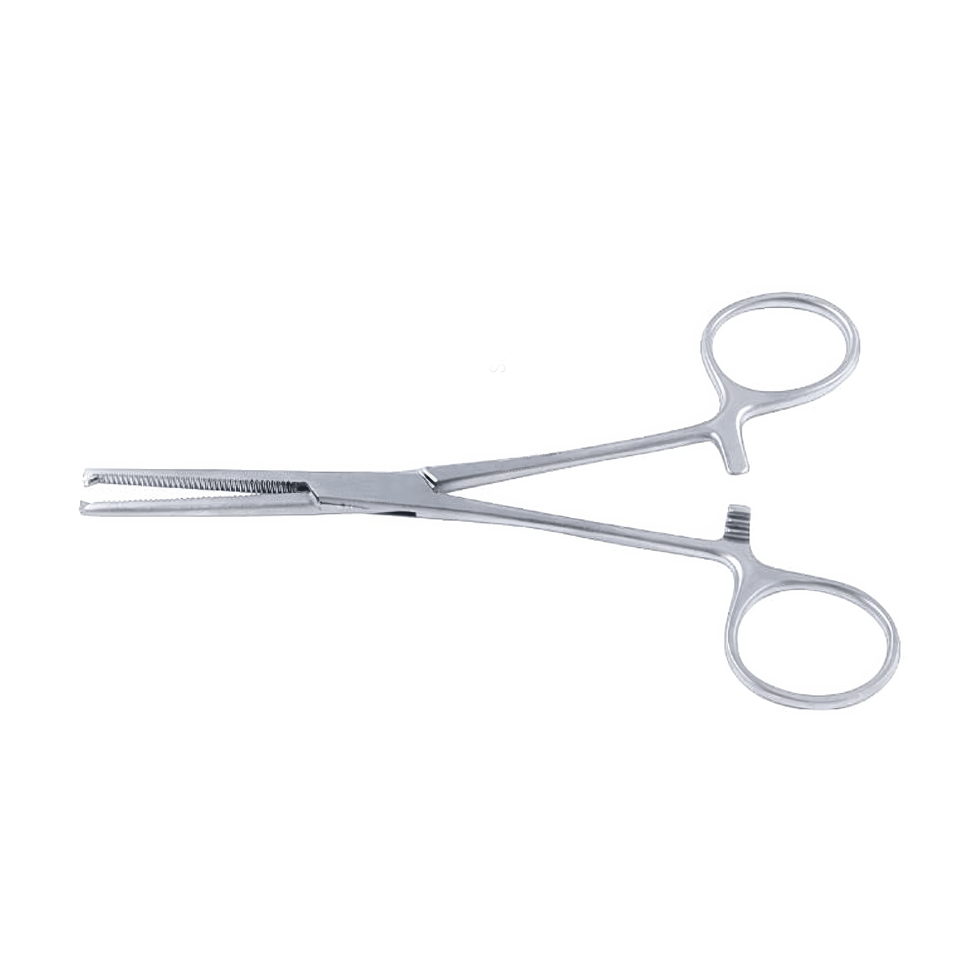 BBraun Forceps Bbraun Forceps, Haemostatic, R-Ochsner 22cm, 1 x 2 teeth, straight