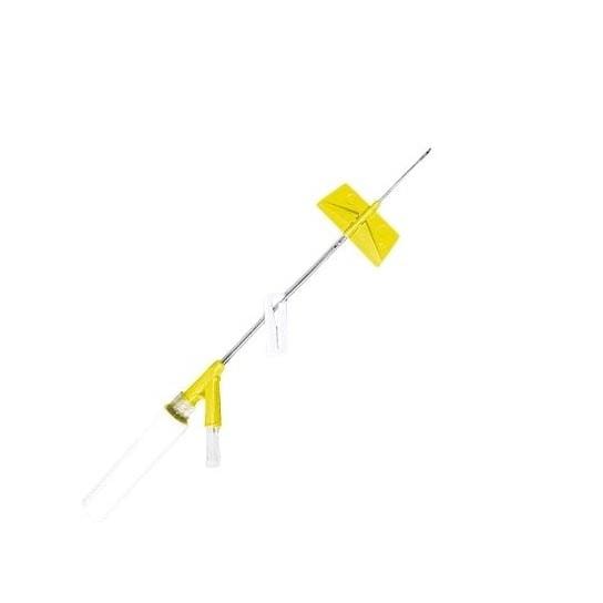 BD Saf-T-Intima Cannulas