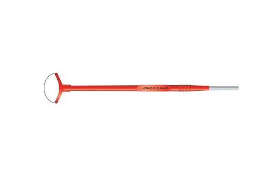 Disposable Loop Electrode Orange - 20mm x 10mm, Sterile