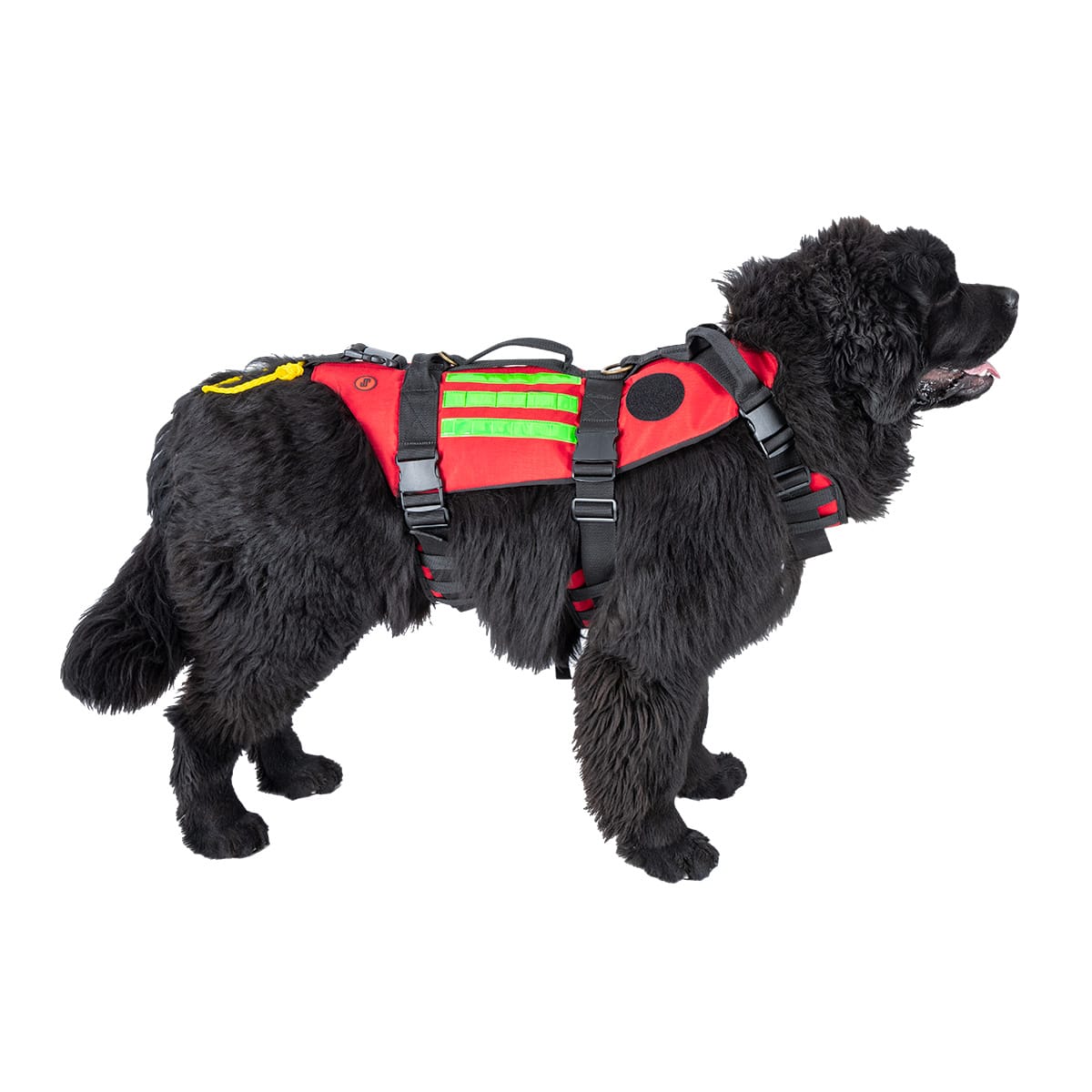 Elite Bags RESCUES DOG Water Rescue Dog Harness