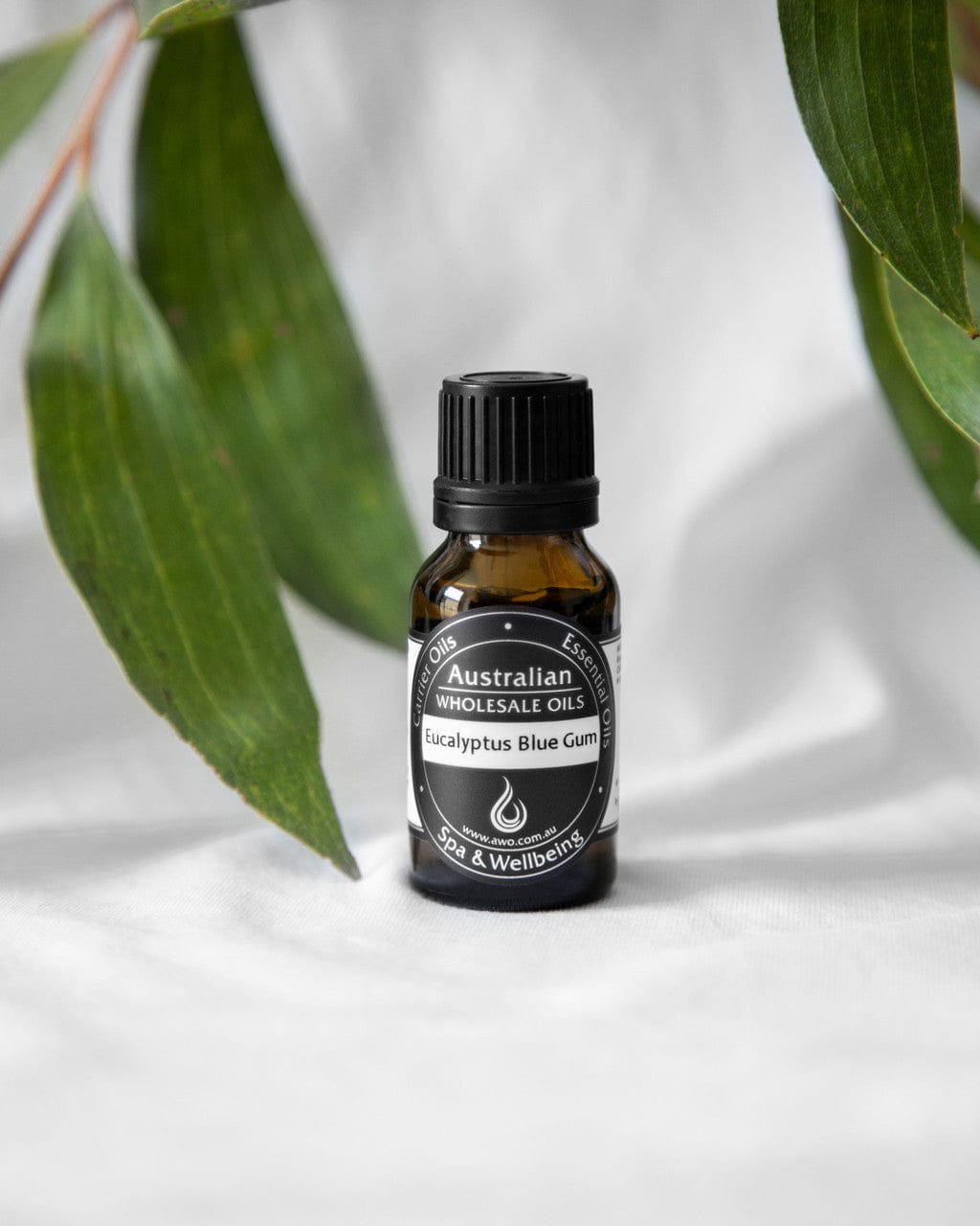 Eucalyptus Blue Gum Essential Oil - 100% Pure & Natural