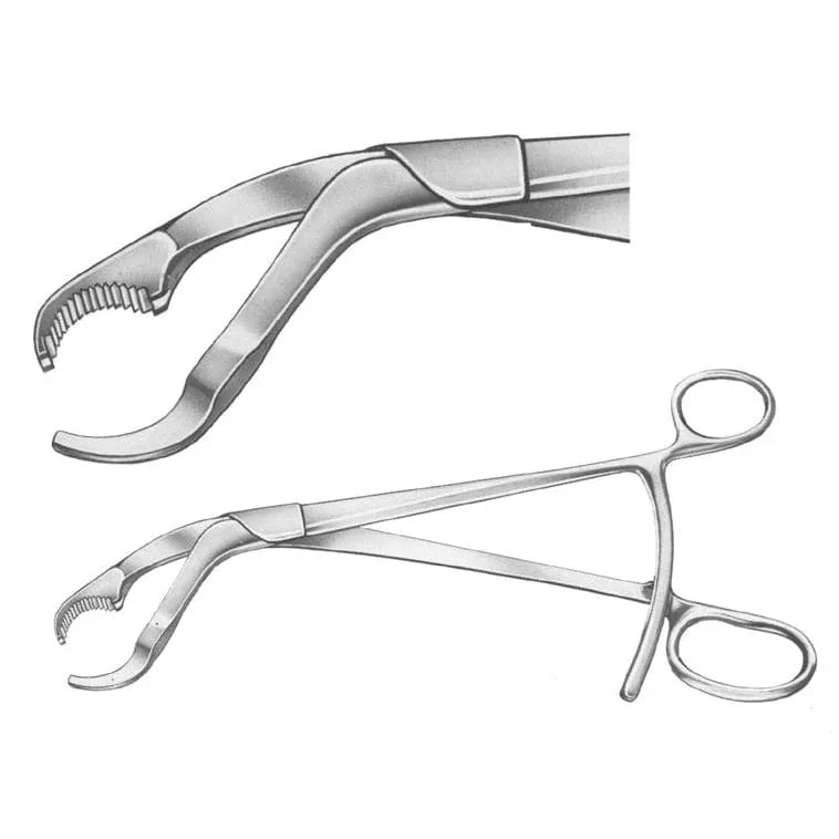 BBraun Bone Instruments FORCEPS, BONE HOLD., VERBRUGGE, 27 cm x 12 mm, dismountable