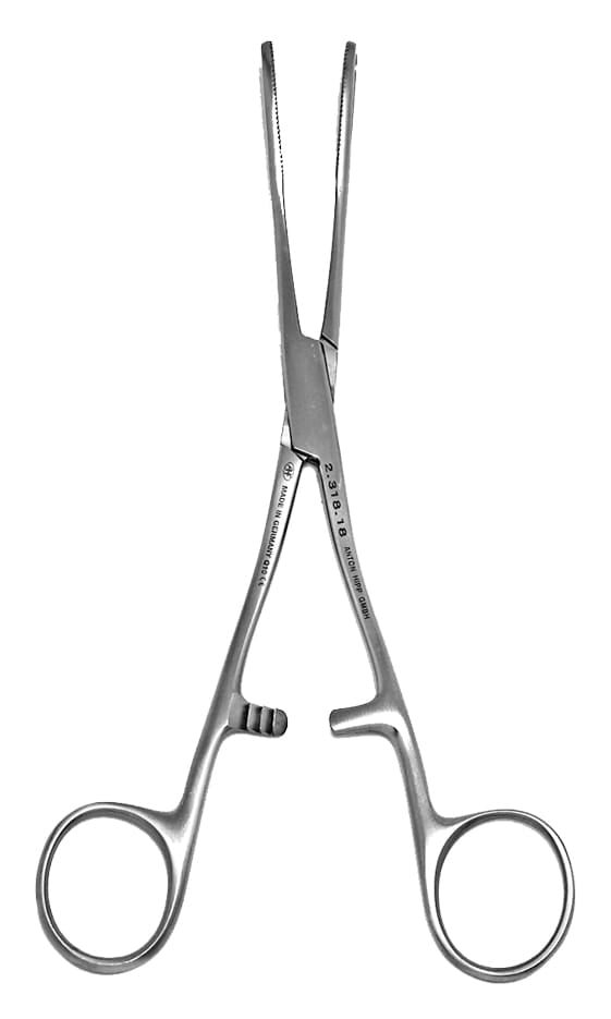 Hipp Rampleys Forceps Sponge