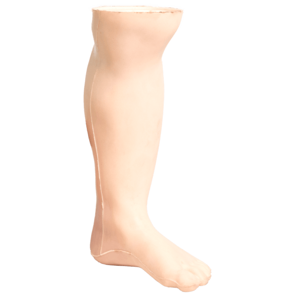 Infant Leg Training Model – Medical Simulation Training Aid