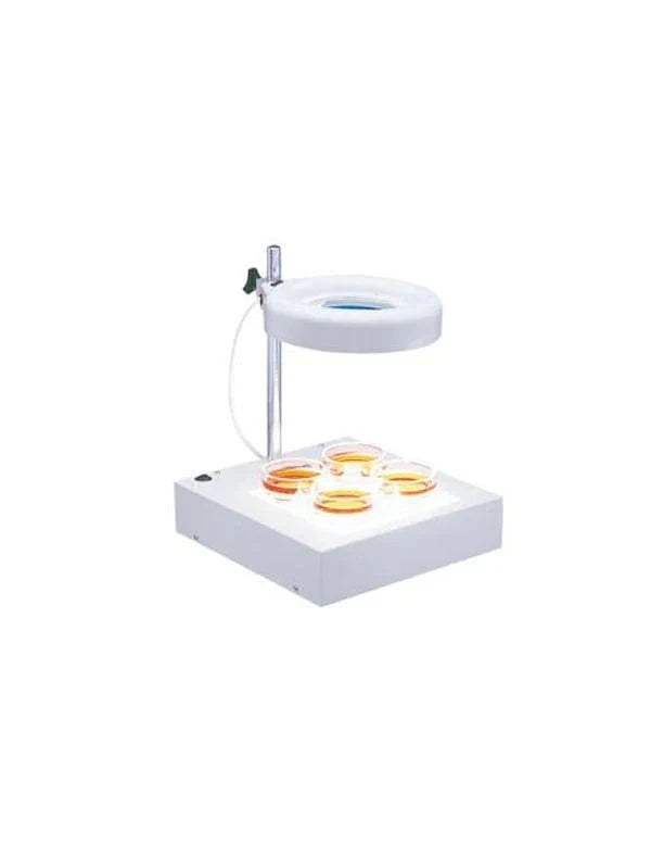 Maggylamp LED illumination Desk with Heavy Base