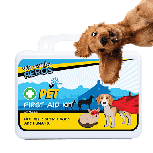 PET Plastic Waterproof First Aid Kit 21 x 7.5 x 13cm