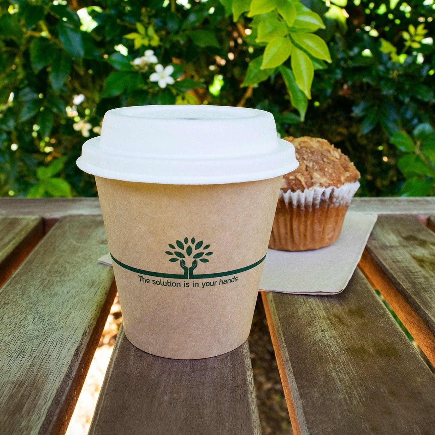 Sustain Bags & Takeaway Brown/Green Sustain Hot Cup Single Wall Aqueous Kraft 8oz Wide