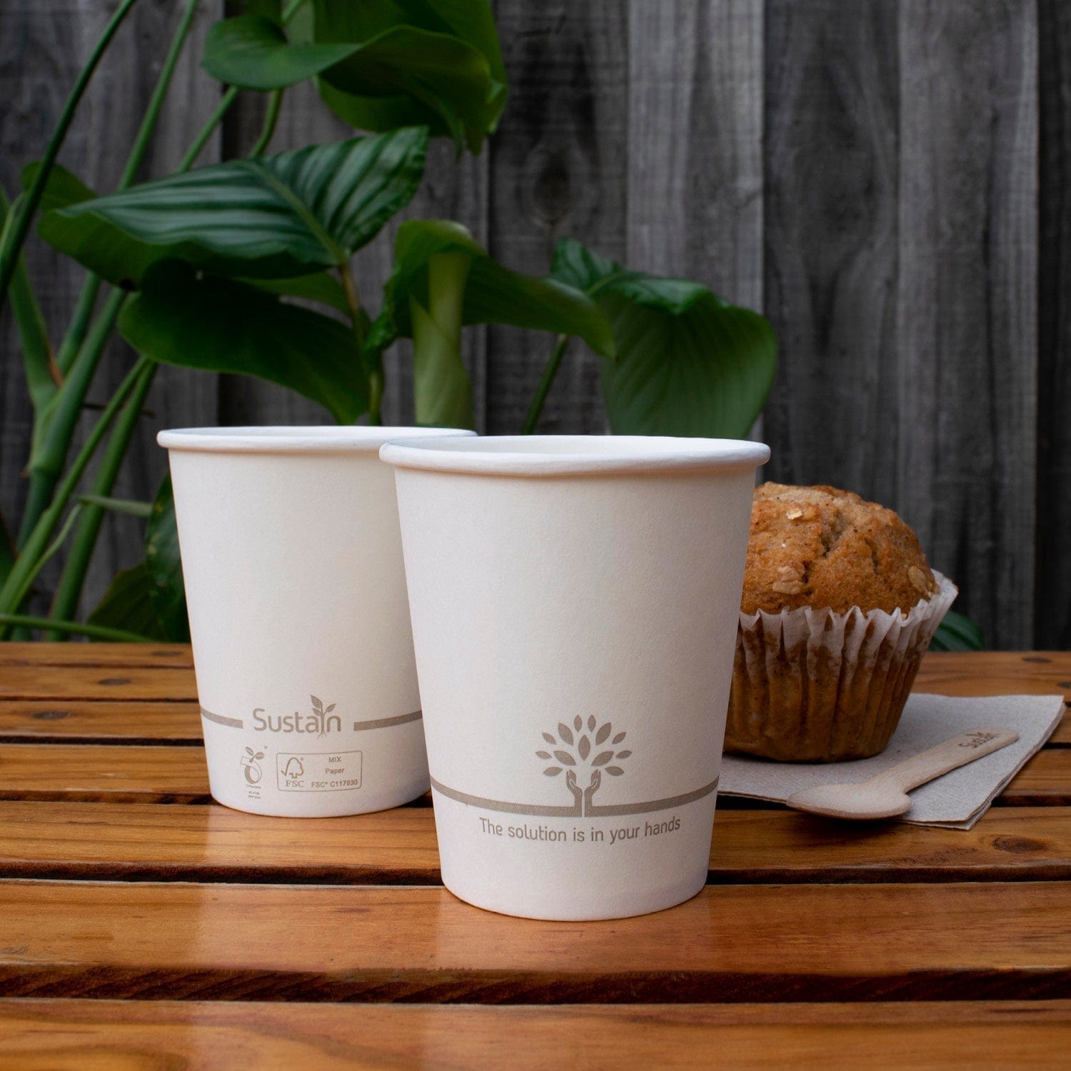 Sustain Disposable Food Packaging Carton of 1000 Sustain Hot Cup Single Wall Paper/BioPBS White 6oz