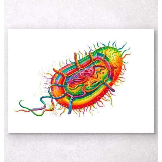 Codex Anatomicus Anatomical Print A5 Size (14.8 x 21 cm) Bacteria Structure Watercolor Splash