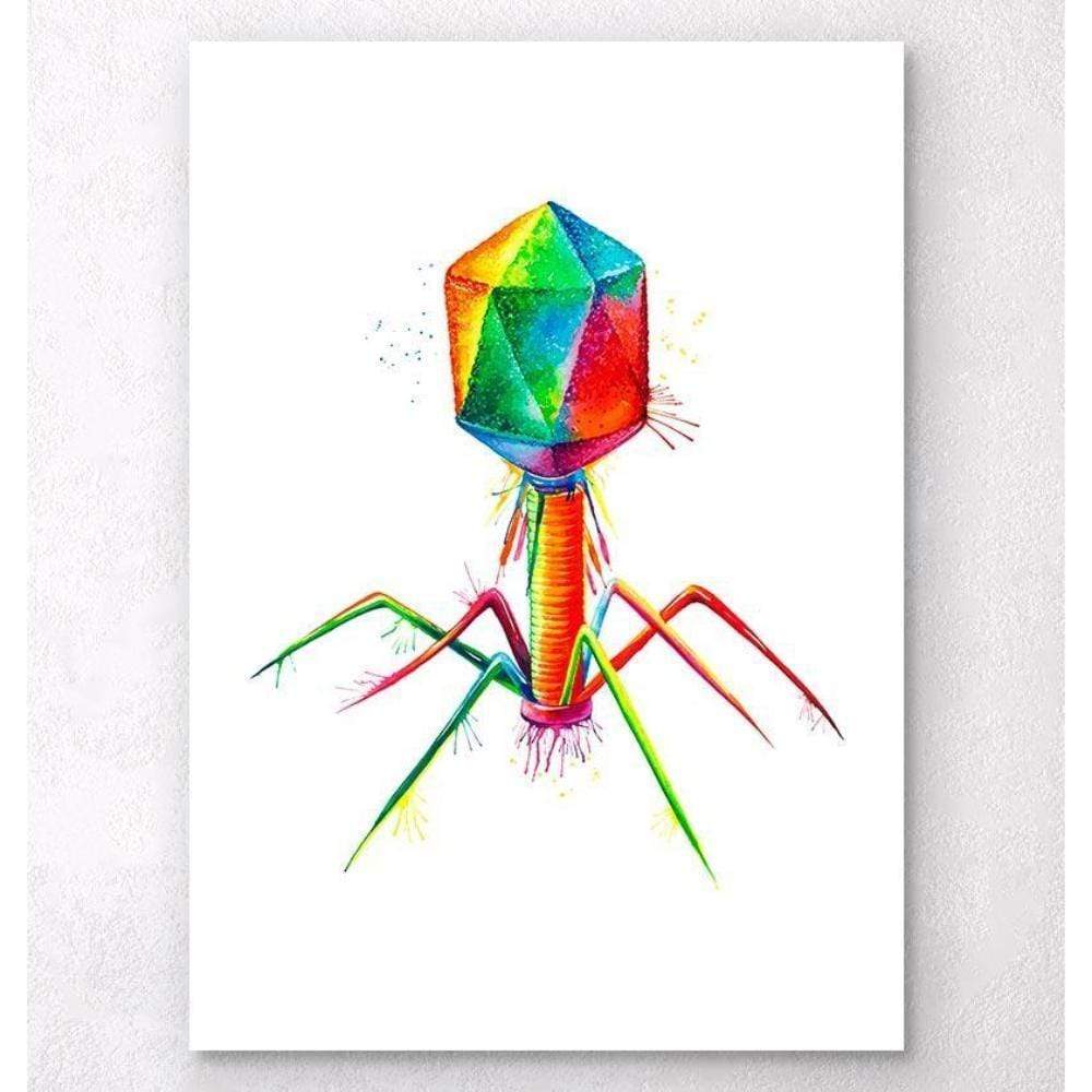 Codex Anatomicus Anatomical Print Bacteriophage Watercolor Splash